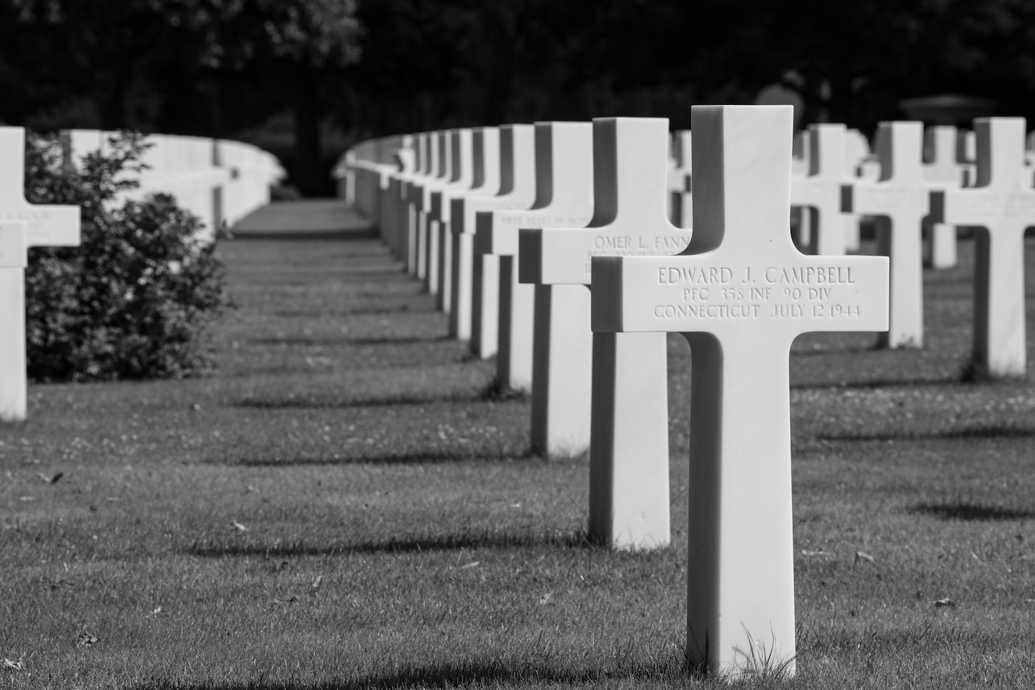 Tracing the Roots of Spring Grove Cemetery