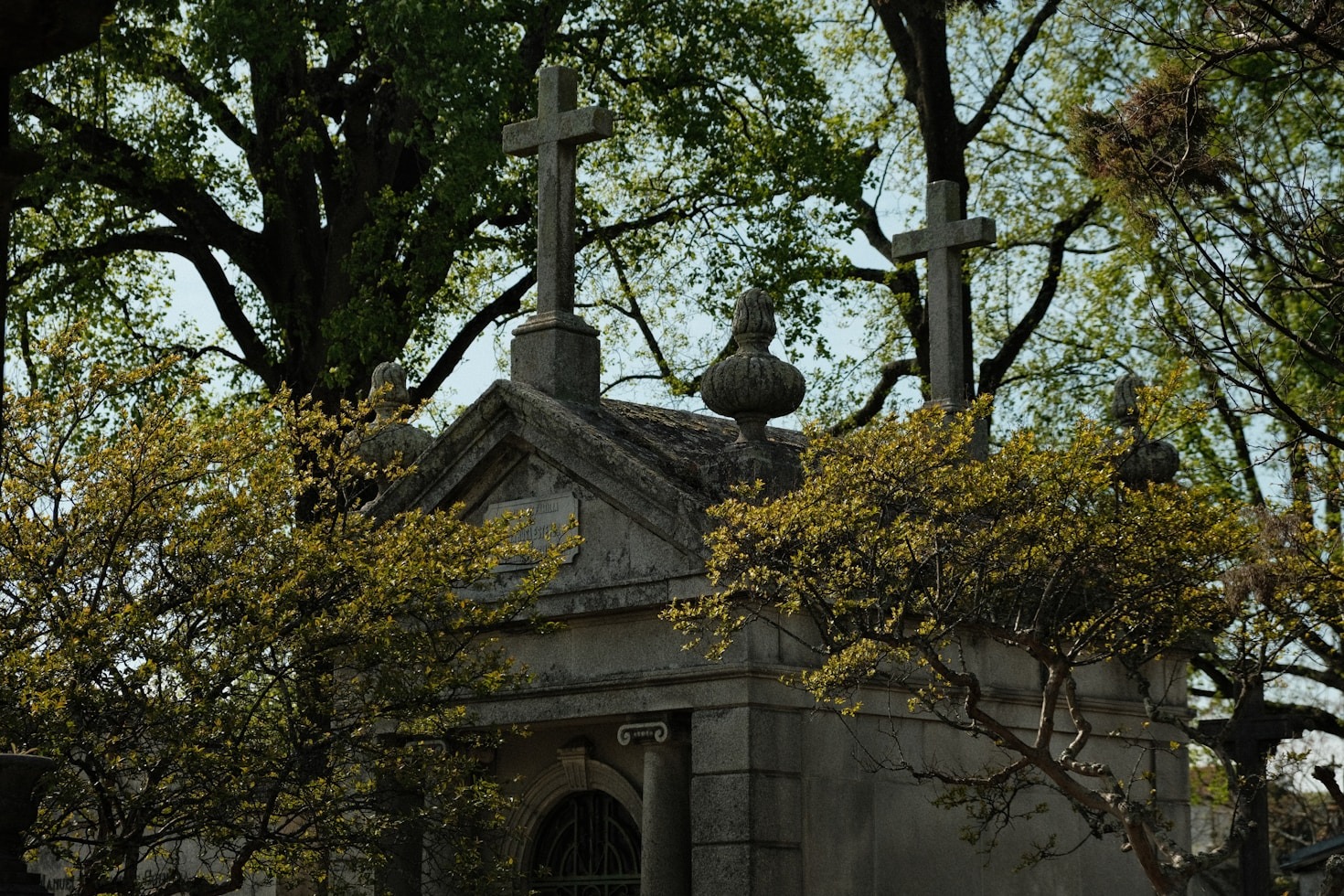 Uncovering the Untold Stories of Spring Grove